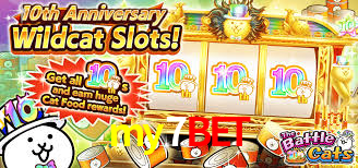 Interface Premium my7bet